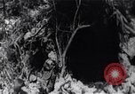 Image of Bay of Pigs invasion Bay of Pigs Cuba, 1961, second 37 stock footage video 65675036882