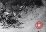 Image of Bay of Pigs invasion Bay of Pigs Cuba, 1961, second 44 stock footage video 65675036882