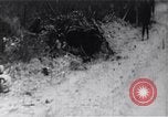 Image of Bay of Pigs invasion Bay of Pigs Cuba, 1961, second 45 stock footage video 65675036882