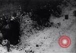 Image of Bay of Pigs invasion Bay of Pigs Cuba, 1961, second 52 stock footage video 65675036882