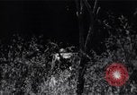 Image of Bay of Pigs invasion Bay of Pigs Cuba, 1961, second 20 stock footage video 65675036883