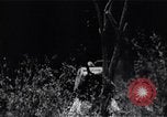 Image of Bay of Pigs invasion Bay of Pigs Cuba, 1961, second 25 stock footage video 65675036883