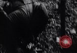 Image of Bay of Pigs invasion Bay of Pigs Cuba, 1961, second 41 stock footage video 65675036883