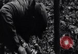 Image of Bay of Pigs invasion Bay of Pigs Cuba, 1961, second 47 stock footage video 65675036883