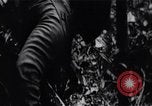 Image of Bay of Pigs invasion Bay of Pigs Cuba, 1961, second 48 stock footage video 65675036883