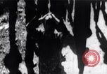 Image of Bay of Pigs invasion Bay of Pigs Cuba, 1961, second 31 stock footage video 65675036884