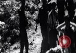 Image of Bay of Pigs invasion Bay of Pigs Cuba, 1961, second 37 stock footage video 65675036884