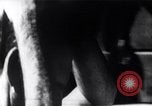 Image of Bay of Pigs invasion Bay of Pigs Cuba, 1961, second 46 stock footage video 65675036884