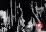 Image of Bay of Pigs invasion Bay of Pigs Cuba, 1961, second 61 stock footage video 65675036884
