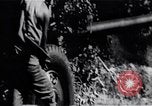 Image of Bay of Pigs invasion Bay of Pigs Cuba, 1961, second 23 stock footage video 65675036885