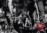 Image of Bay of Pigs invasion Bay of Pigs Cuba, 1961, second 27 stock footage video 65675036885