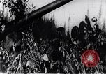Image of Bay of Pigs invasion Bay of Pigs Cuba, 1961, second 35 stock footage video 65675036885