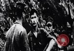 Image of Bay of Pigs invasion Bay of Pigs Cuba, 1961, second 36 stock footage video 65675036886
