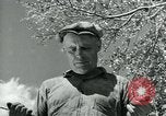 Image of Works Progress Administration Missouri United States USA, 1937, second 7 stock footage video 65675036892