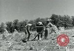 Image of Works Progress Administration Missouri United States USA, 1937, second 43 stock footage video 65675036892