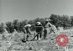 Image of Works Progress Administration Missouri United States USA, 1937, second 44 stock footage video 65675036892