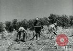 Image of Works Progress Administration Missouri United States USA, 1937, second 49 stock footage video 65675036892