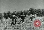 Image of Works Progress Administration Missouri United States USA, 1937, second 50 stock footage video 65675036892