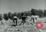 Image of Works Progress Administration Missouri United States USA, 1937, second 51 stock footage video 65675036892