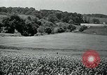 Immagine di Bryn Mawr College Philadelphia Pennsylvania USA, 1948, secondo 39 filmato di repertorio 65675036899