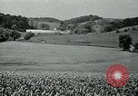 Immagine di Bryn Mawr College Philadelphia Pennsylvania USA, 1948, secondo 46 filmato di repertorio 65675036899