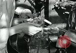 Image of Bryn Mawr College Philadelphia Pennsylvania USA, 1948, second 32 stock footage video 65675036901