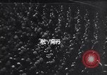 Image of German forces battle Soviets on Eastern Front in World War 2 Europe, 1941, second 10 stock footage video 65675036904