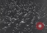 Image of German forces battle Soviets on Eastern Front in World War 2 Europe, 1941, second 20 stock footage video 65675036904