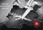 Image of Hitler's conquest Russia Soviet Union, 1943, second 4 stock footage video 65675036932