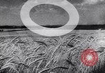 Image of Hitler's conquest Russia Soviet Union, 1943, second 58 stock footage video 65675036932