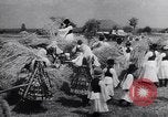 Image of Hitler's conquest Russia Soviet Union, 1943, second 61 stock footage video 65675036932