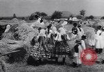 Image of Hitler's conquest Russia Soviet Union, 1943, second 62 stock footage video 65675036932