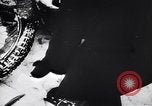 Image of Nazi atrocities against Russian civilians World War 2 Russia Soviet Union, 1943, second 60 stock footage video 65675036936