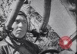 Image of Luftwaffe blitz attack of Leningrad and siege Leningrad Russia Soviet Union, 1943, second 23 stock footage video 65675036937