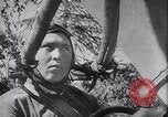 Image of Luftwaffe blitz attack of Leningrad and siege Leningrad Russia Soviet Union, 1943, second 24 stock footage video 65675036937