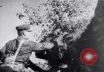 Image of Luftwaffe blitz attack of Leningrad and siege Leningrad Russia Soviet Union, 1943, second 45 stock footage video 65675036937