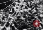 Image of battle for Stalingrad Russia, 1943, second 41 stock footage video 65675036940