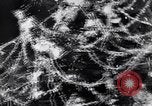 Image of battle for Stalingrad Russia, 1943, second 42 stock footage video 65675036940