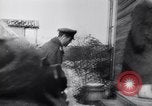 Image of Soviet Army defeats Germans in World War 2 Soviet Union, 1943, second 8 stock footage video 65675036941