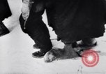 Image of Soviet Army defeats Germans in World War 2 Soviet Union, 1943, second 48 stock footage video 65675036941