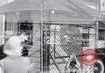 Image of horse racing in America United States USA, 1932, second 23 stock footage video 65675036977