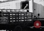 Image of 1930s produce deliveries to Washington DC United States USA, 1932, second 10 stock footage video 65675036980