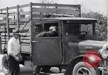 Image of 1930s produce deliveries to Washington DC United States USA, 1932, second 41 stock footage video 65675036980