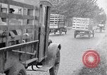 Image of 1930s produce deliveries to Washington DC United States USA, 1932, second 44 stock footage video 65675036980