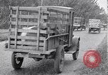 Image of 1930s produce deliveries to Washington DC United States USA, 1932, second 46 stock footage video 65675036980