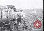 Image of 1930s produce deliveries to Washington DC United States USA, 1932, second 56 stock footage video 65675036980