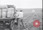 Image of 1930s produce deliveries to Washington DC United States USA, 1932, second 57 stock footage video 65675036980
