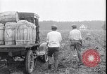 Image of 1930s produce deliveries to Washington DC United States USA, 1932, second 59 stock footage video 65675036980