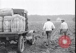 Image of 1930s produce deliveries to Washington DC United States USA, 1932, second 60 stock footage video 65675036980