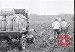 Image of 1930s produce deliveries to Washington DC United States USA, 1932, second 61 stock footage video 65675036980